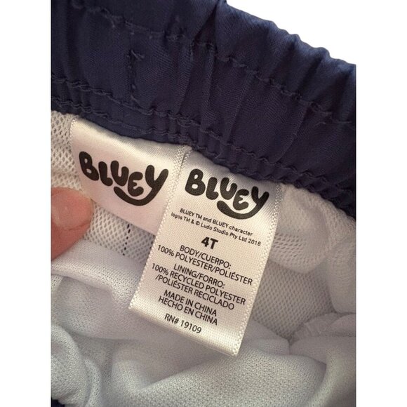 Bluey Boys Bathing Suit Swimwear 2 Piece Long Sleeve Rash Gaurd + Shorts Size 4T - Picture 7 of 10